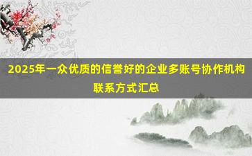 2025年一众优质的信誉好的企业多账号协作机构联系方式汇总