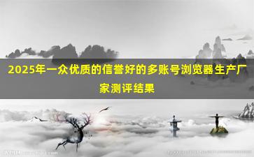 2025年一众优质的信誉好的多账号浏览器生产厂家测评结果