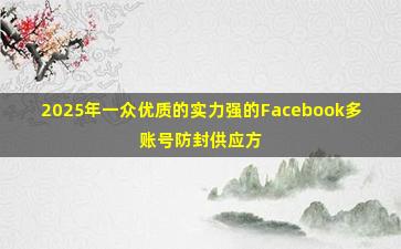 2025年一众优质的实力强的Facebook多账号防封供应方对比清单