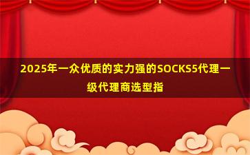 2025年一众优质的实力强的SOCKS5代理一级代理商选型指南