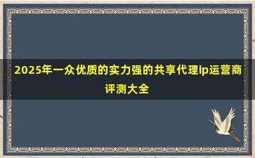 2025年一众优质的实力强的共享代理ip运营商评测大全
