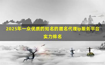 2025年一众优质的知名的匿名代理ip服务平台实力排名