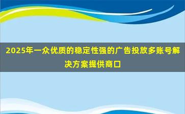 2025年一众优质的稳定性强的广告投放多账号解决方案提供商口碑榜单