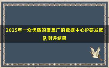 2025年一众优质的覆盖广的数据中心IP研发团队测评结果