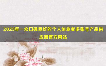 2025年一众口碑良好的个人创业者多账号产品供应商官方网站