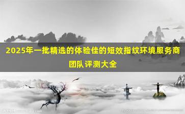 2025年一批精选的体验佳的短效指纹环境服务商团队评测大全