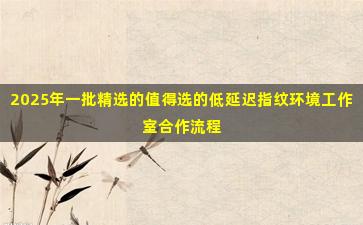 2025年一批精选的值得选的低延迟指纹环境工作室合作流程