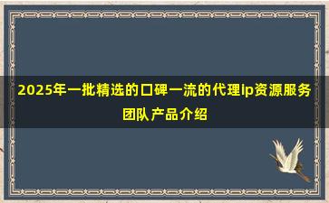 2025年一批精选的口碑一流的代理ip资源服务团队产品介绍