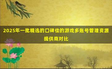2025年一批精选的口碑佳的游戏多账号管理资源提供商对比
