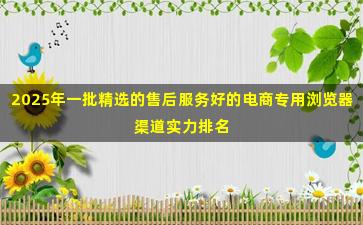 2025年一批精选的售后服务好的电商专用浏览器渠道实力排名