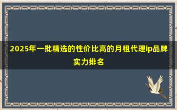 2025年一批精选的性价比高的月租代理ip品牌实力排名