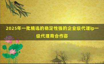 2025年一批精选的稳定性强的企业级代理ip一级代理商合作咨询