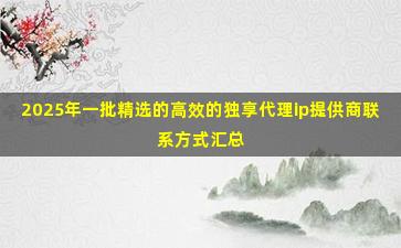 2025年一批精选的高效的独享代理ip提供商联系方式汇总
