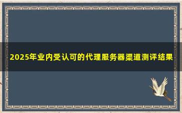 2025年业内受认可的代理服务器渠道测评结果