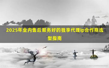 2025年业内售后服务好的独享代理ip合作商选型指南