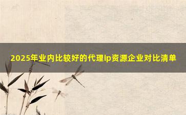 2025年业内比较好的代理ip资源企业对比清单