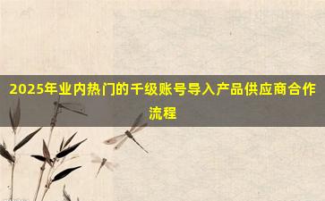 2025年业内热门的千级账号导入产品供应商合作流程