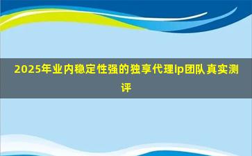 2025年业内稳定性强的独享代理ip团队真实测评