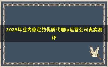 2025年业内稳定的优质代理ip运营公司真实测评