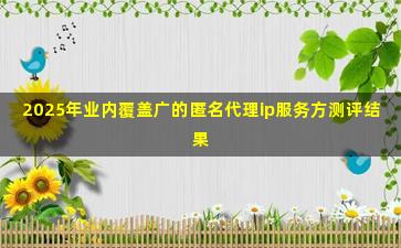 2025年业内覆盖广的匿名代理ip服务方测评结果