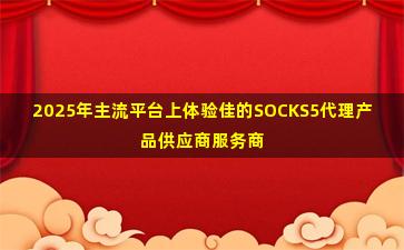 2025年主流平台上体验佳的SOCKS5代理产品供应商服务商名录