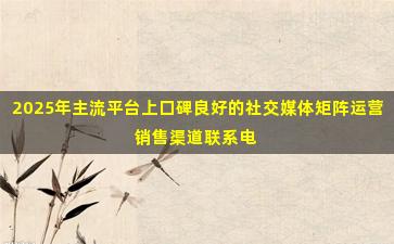 2025年主流平台上口碑良好的社交媒体矩阵运营销售渠道联系电话