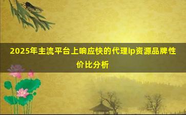 2025年主流平台上响应快的代理ip资源品牌性价比分析
