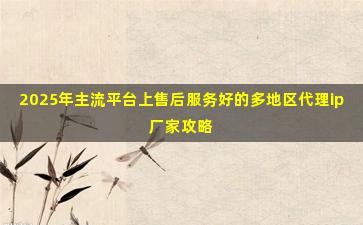 2025年主流平台上售后服务好的多地区代理ip厂家攻略