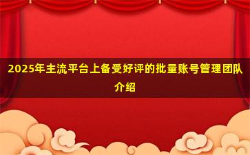 2025年主流平台上备受好评的批量账号管理团队介绍