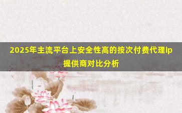 2025年主流平台上安全性高的按次付费代理ip提供商对比分析