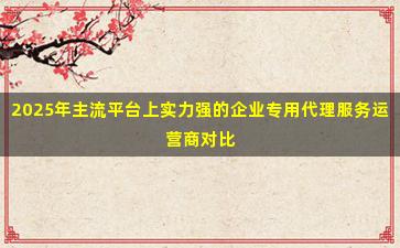 2025年主流平台上实力强的企业专用代理服务运营商对比