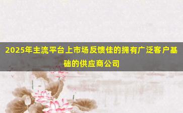2025年主流平台上市场反馈佳的拥有广泛客户基础的供应商公司名录