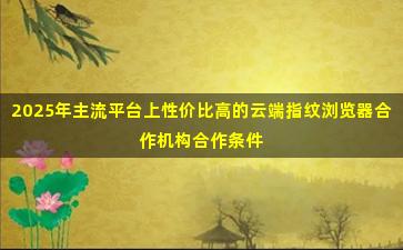 2025年主流平台上性价比高的云端指纹浏览器合作机构合作条件