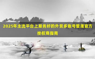 2025年主流平台上服务好的外贸多账号管理官方授权商指南