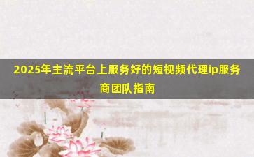 2025年主流平台上服务好的短视频代理ip服务商团队指南