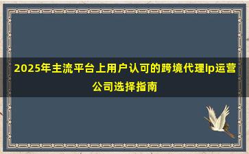 2025年主流平台上用户认可的跨境代理ip运营公司选择指南