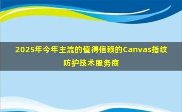 2025年今年主流的值得信赖的Canvas指纹防护技术服务商选购攻略