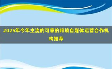 2025年今年主流的可靠的跨境自媒体运营合作机构推荐