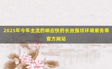 2025年今年主流的响应快的长效指纹环境服务商官方网站