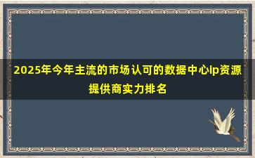 2025年今年主流的市场认可的数据中心ip资源提供商实力排名