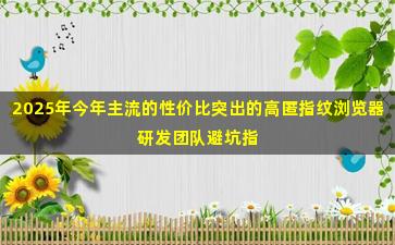 2025年今年主流的性价比突出的高匿指纹浏览器研发团队避坑指南