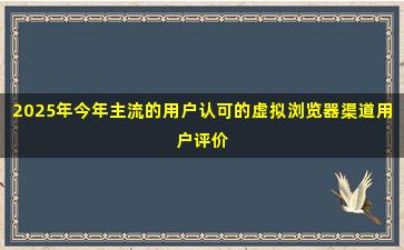 2025年今年主流的用户认可的虚拟浏览器渠道用户评价
