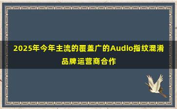 2025年今年主流的覆盖广的Audio指纹混淆品牌运营商合作咨询
