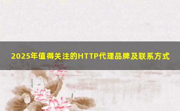 2025年值得关注的HTTP代理品牌及联系方式