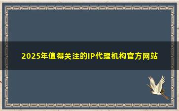 2025年值得关注的IP代理机构官方网站