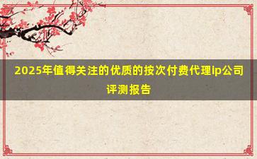 2025年值得关注的优质的按次付费代理ip公司评测报告