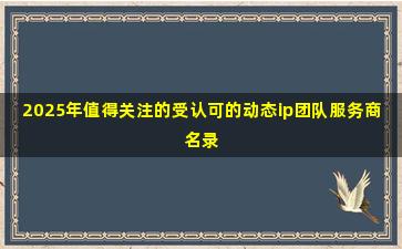2025年值得关注的受认可的动态ip团队服务商名录