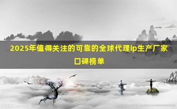 2025年值得关注的可靠的全球代理ip生产厂家口碑榜单
