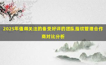2025年值得关注的备受好评的团队指纹管理合作商对比分析