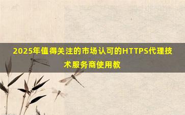 2025年值得关注的市场认可的HTTPS代理技术服务商使用教程